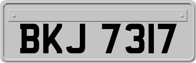 BKJ7317