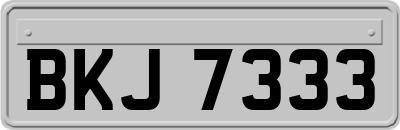 BKJ7333