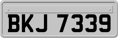 BKJ7339
