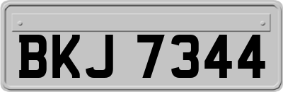 BKJ7344
