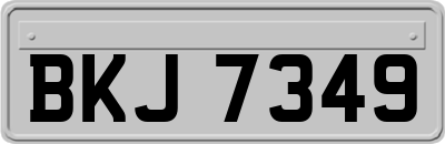 BKJ7349
