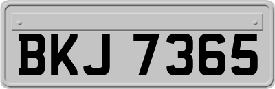BKJ7365