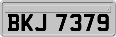 BKJ7379