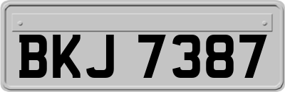 BKJ7387