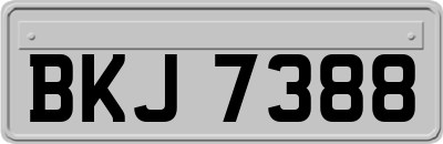BKJ7388
