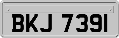 BKJ7391