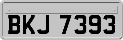 BKJ7393