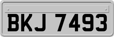 BKJ7493