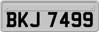 BKJ7499