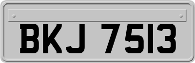 BKJ7513