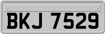 BKJ7529