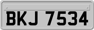 BKJ7534
