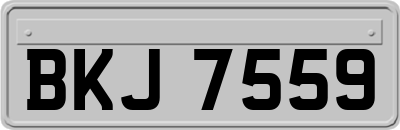 BKJ7559