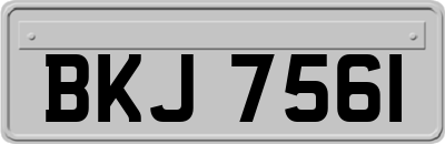 BKJ7561