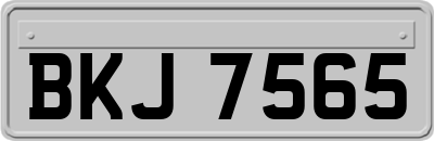 BKJ7565