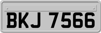 BKJ7566
