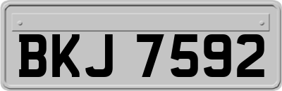 BKJ7592