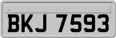 BKJ7593