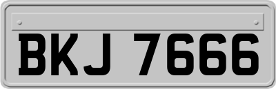 BKJ7666