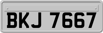 BKJ7667