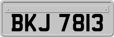 BKJ7813