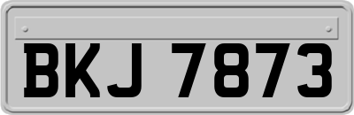 BKJ7873