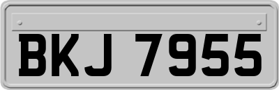 BKJ7955
