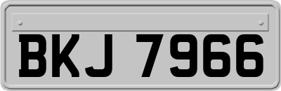 BKJ7966