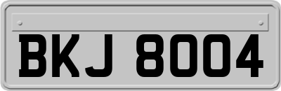 BKJ8004