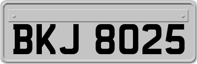 BKJ8025