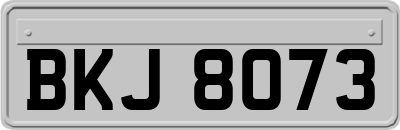 BKJ8073