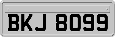 BKJ8099