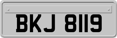 BKJ8119