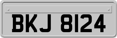 BKJ8124