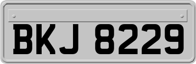 BKJ8229