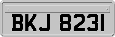 BKJ8231