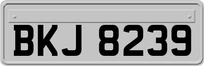 BKJ8239