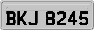 BKJ8245