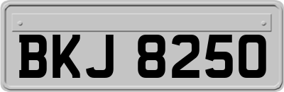BKJ8250