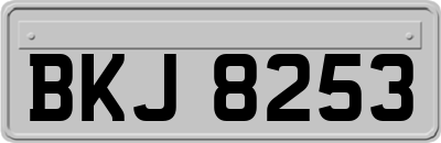 BKJ8253