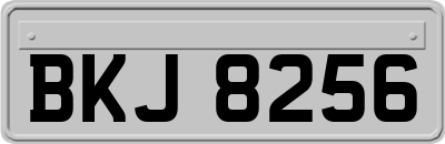 BKJ8256