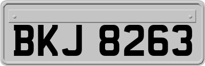 BKJ8263