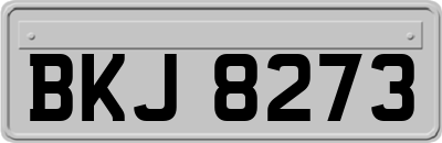BKJ8273