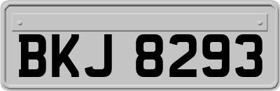 BKJ8293