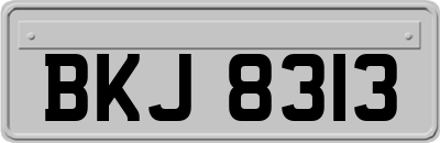 BKJ8313