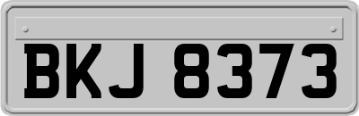 BKJ8373