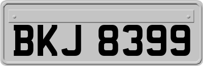 BKJ8399