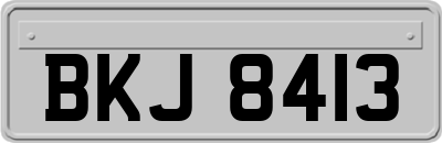 BKJ8413