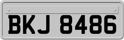 BKJ8486