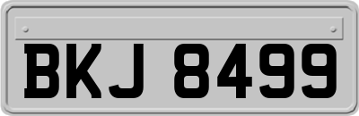 BKJ8499